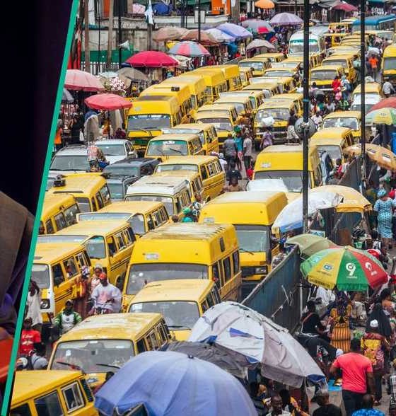 Lagos Danfo reform: Experts call for 20,000 buses, demand-based routes