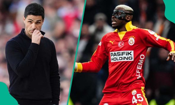 Turkish pundit backs Osimhen’s Arsenal move, reveals one key condition