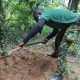 Troops exhume remains of slain community leader in Imo forest