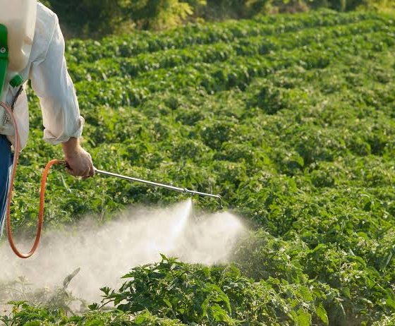 Rare Childhood cancer reports put pesticide use under scrutiny