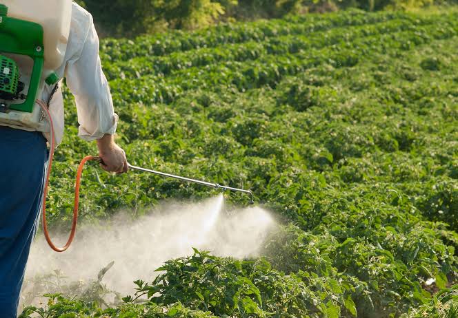 Rare Childhood cancer reports put pesticide use under scrutiny