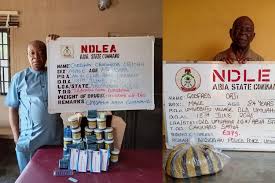 NDLEA arrests two elderly men over alleged sale of illicit drugs to Abia students