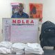 Italy-based businessman excretes 98 cocaine wraps at Enugu Airport — NDLEA