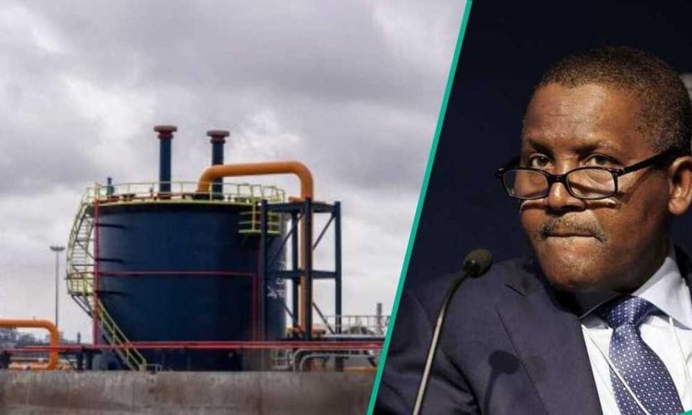 Dangote IPO rush crashes Bamboo login as investors flood platform