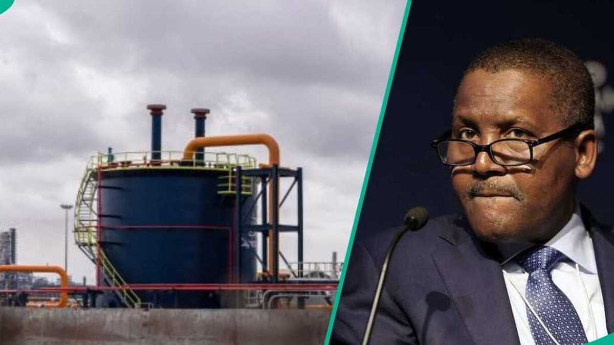 Dangote IPO rush crashes Bamboo login as investors flood platform