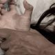 Lagos trains health workers to strengthen sexual assault response