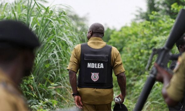 NDLEA uncovers Mexican cartels’ bid to set up meth labs in Ogun, Oyo forests