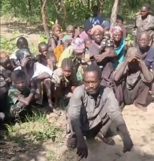 Ariko kidnapping: Eight worshippers reportedly die in captivity as families plead for help