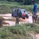 Flood Tragedy: Anambra Police rescue nine from school bus, one child missing