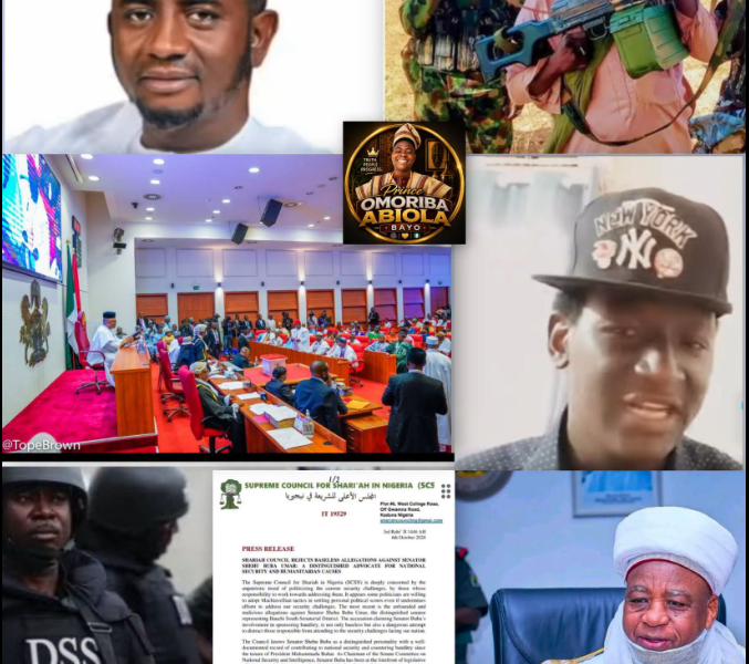 Calls mount for DSS probe into alleged terrorism financing by Bauchi Senator