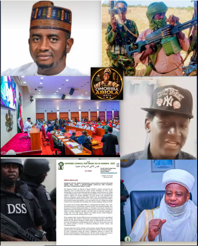 Calls mount for DSS probe into alleged terrorism financing by Bauchi Senator
