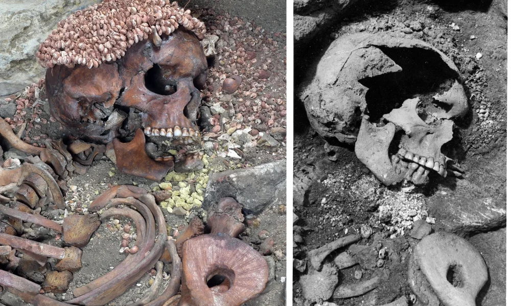 28 human skulls, bones found in Suspected kidnappers’ camps in Abia