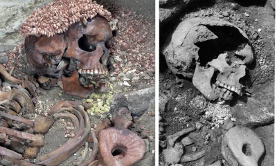 28 human skulls, bones found in Suspected kidnappers’ camps in Abia