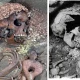 28 human skulls, bones found in Suspected kidnappers’ camps in Abia