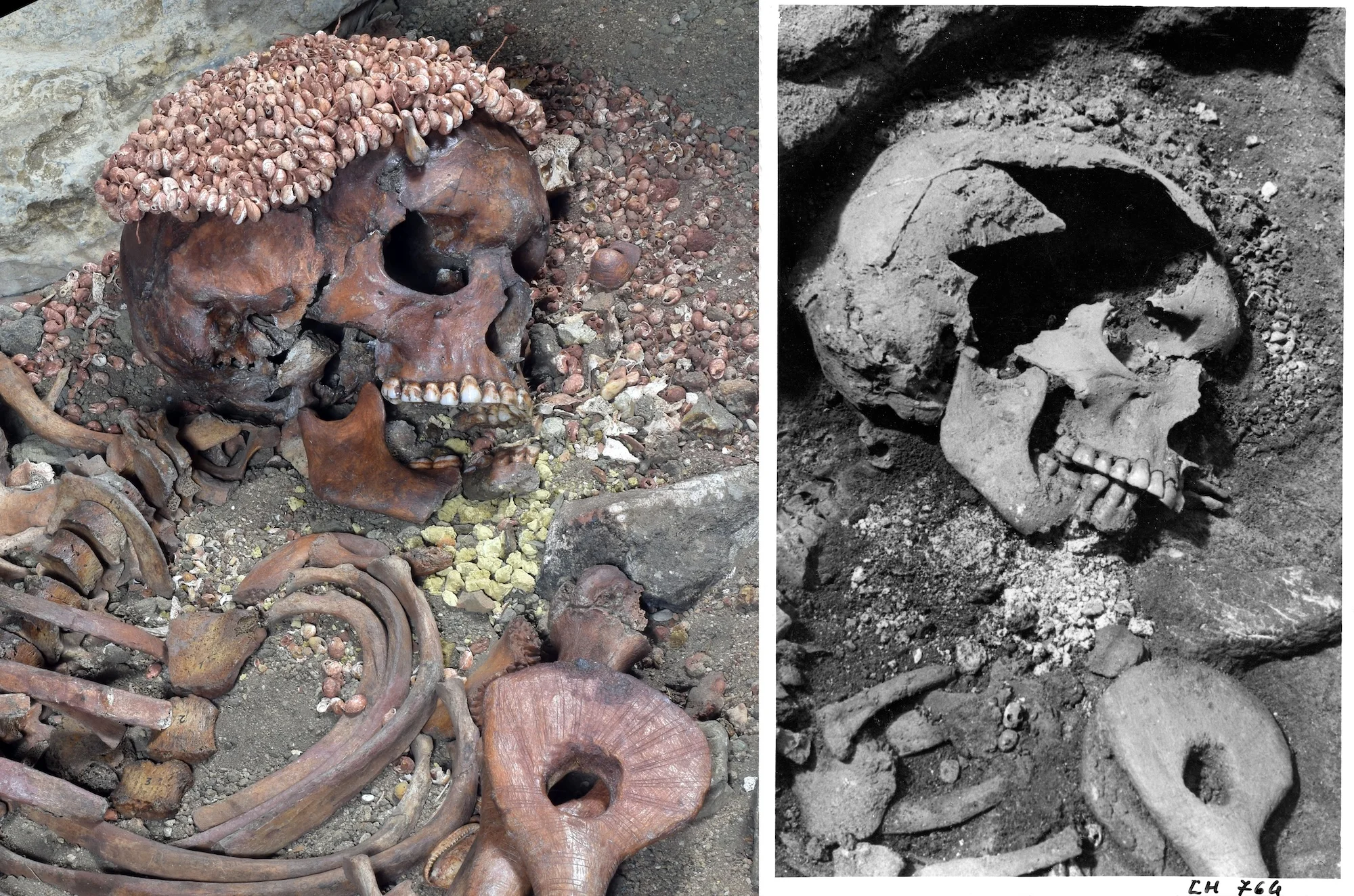 28 human skulls, bones found in Suspected kidnappers’ camps in Abia