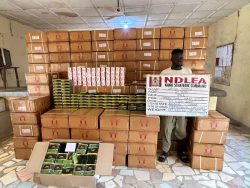 Drug Lords’ Assets: To Seize or Not to Seize?
