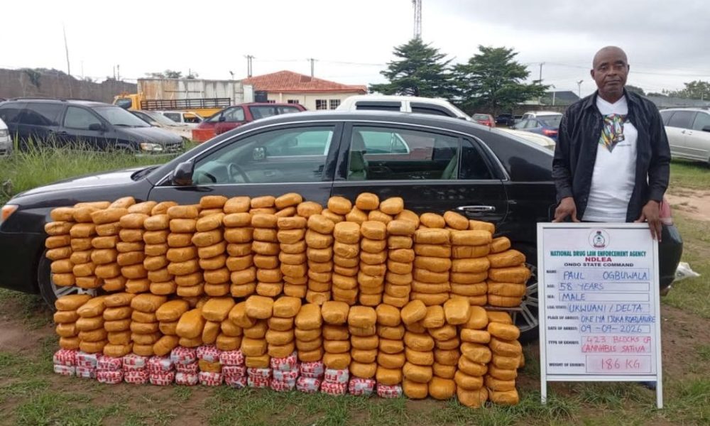 Drug Lords’ Assets: To Seize or Not to Seize?
