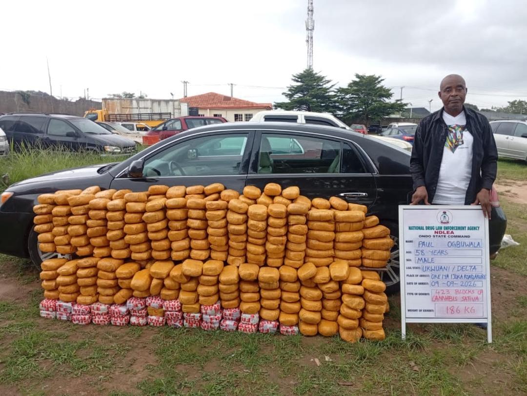 Drug Lords’ Assets: To Seize or Not to Seize?