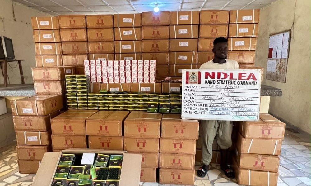 NDLEA arrests real estate agent, grandma, others over 2.3-tonne drug haul