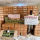 NDLEA arrests real estate agent, grandma, others over 2.3-tonne drug haul