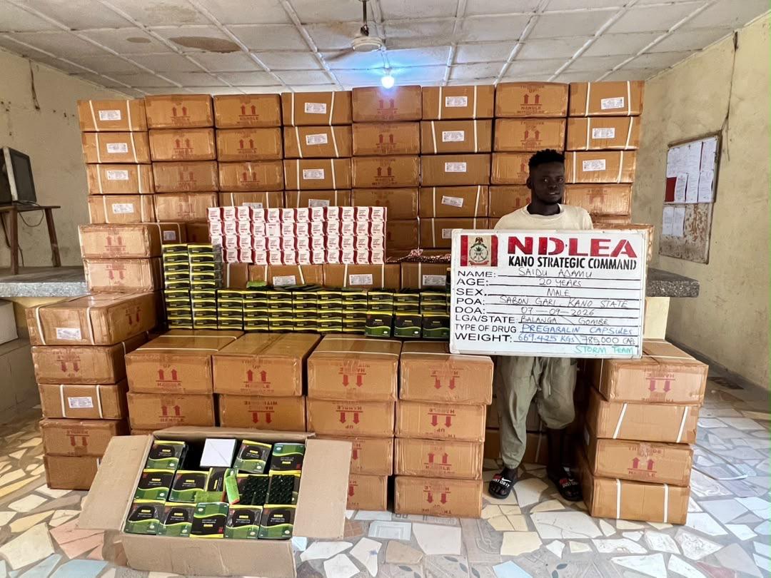 NDLEA arrests real estate agent, grandma, others over 2.3-tonne drug haul