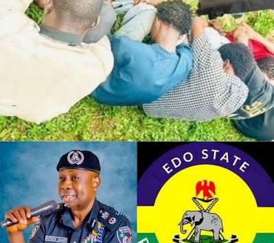 Ogun Police Hunt Fleeing Suspect After Ijebu-Igbo Gang Rape Arrest