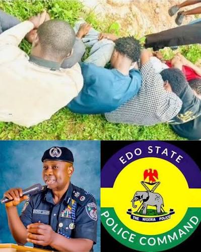 Ogun Police Hunt Fleeing Suspect After Ijebu-Igbo Gang Rape Arrest