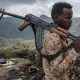 Ethiopia’s renewed Tigray fighting raises fears of wider regional war