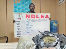 NDLEA arrests real estate agent, grandma, others over 2.3-tonne drug haul