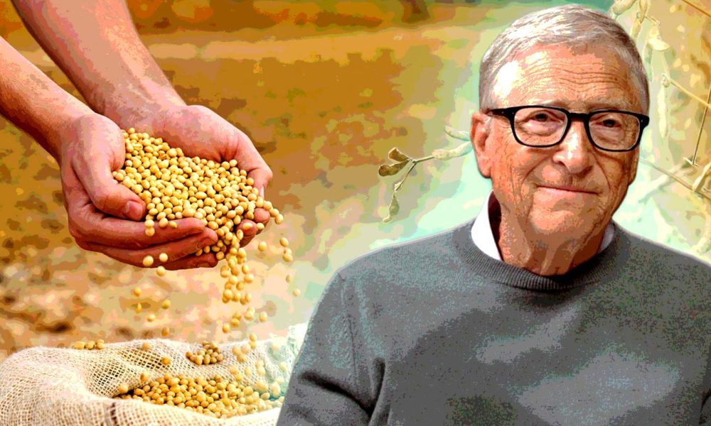 ‘Magic seeds’ to more hunger: The troubled legacy of Gates’ Africa plan