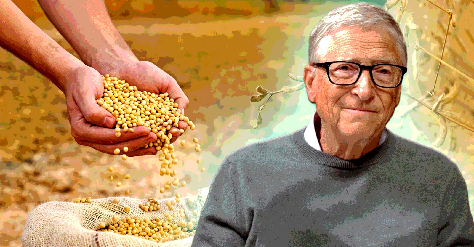 ‘Magic seeds’ to more hunger: The troubled legacy of Gates’ Africa plan