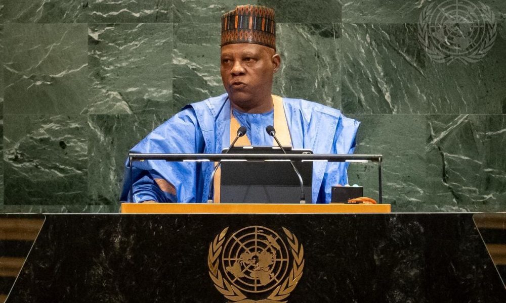 Shettima at UNGA: What exactly is Nigeria asking the world for?