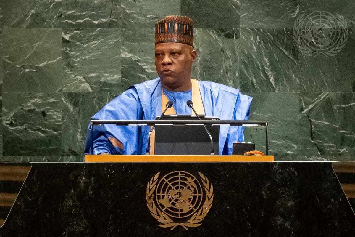 Shettima at UNGA: What exactly is Nigeria asking the world for?
