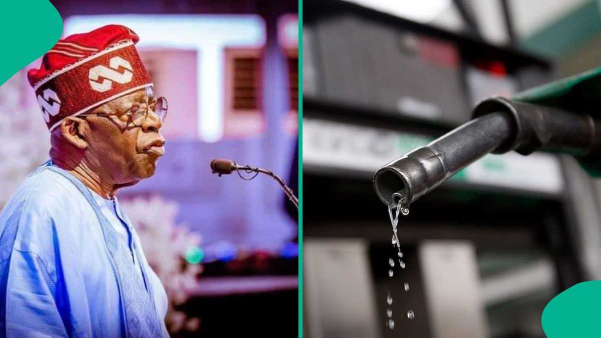 Fuel tax looms as IMF questions where Nigeria’s subsidy savings went