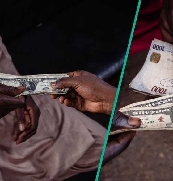 Nigeria’s FX turnover falls 22% to $2.62bn as Dollar trading slows