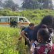 Passengers survive as AKTC driver loses control, bus plunges into bush
