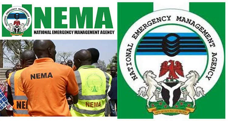 Flooding kills 245, displaces over 214,000 Nigerians across 28 states — NEMA