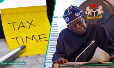 Kingibe’s 25% tax warning: What Nigeria’s tax law actually says