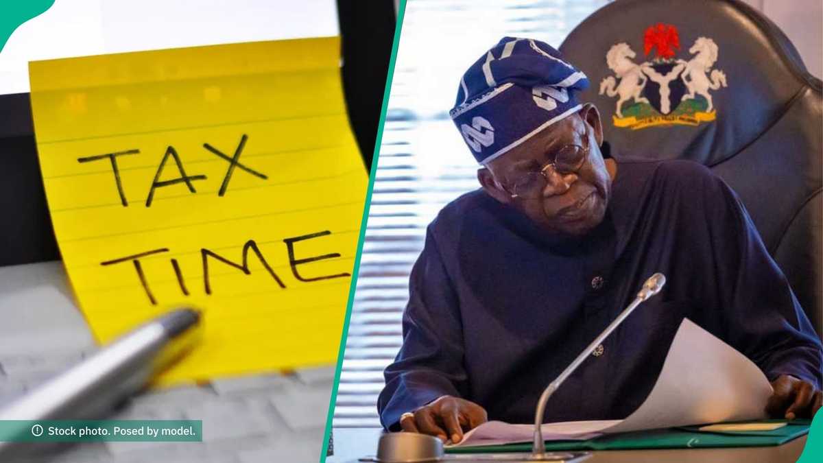 Kingibe’s 25% tax warning: What Nigeria’s tax law actually says