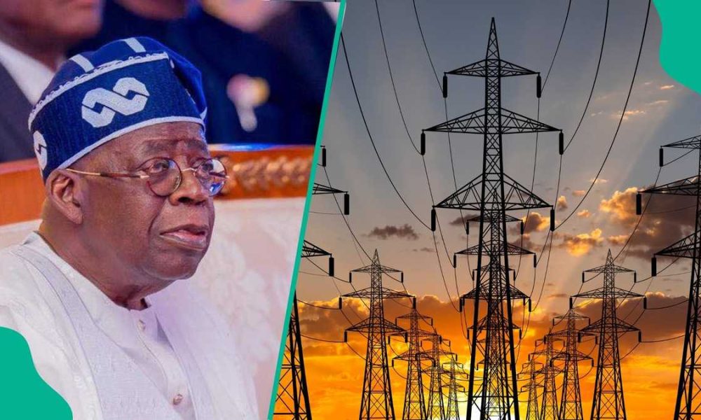 Electricity subsidy: Manufacturers, experts warn of higher costs, demand reliable power
