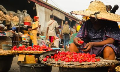 IMF Projects Nigeria’s Inflation to Fall to 15.6% in 2026