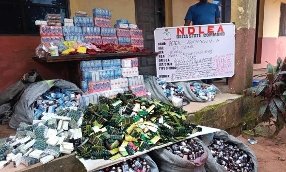NDLEA busts South African cocaine suspect, arrests US-based grandma in Lagos