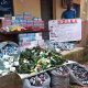 NDLEA busts South African cocaine suspect, arrests US-based grandma in Lagos