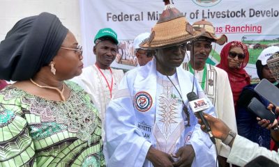Tinubu faces fresh livestock demands as Fulani groups seek ranches, probe of attacks