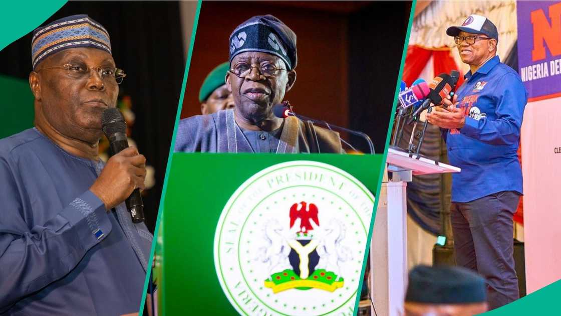 Petrol relief: Atiku, Tinubu face questions over cost, consumer benefits