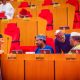 CAfPRA opposes Nutritionists Council Bill, cites threat to indigenous food knowledge