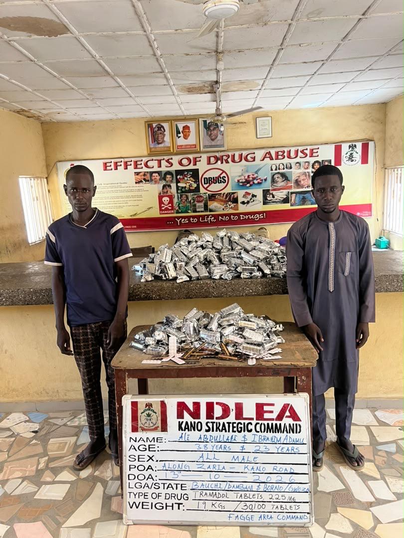 NDLEA seizes ₦6.98bn tramadol shipment, arrests 85-year-old woman in nationwide raids