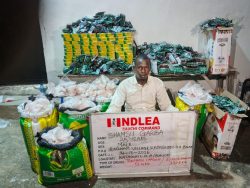 NDLEA seizes ₦6.98bn tramadol shipment, arrests 85-year-old woman in nationwide raids
