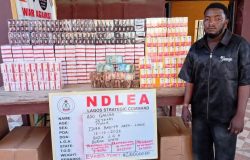 NDLEA seizes ₦6.98bn tramadol shipment, arrests 85-year-old woman in nationwide raids