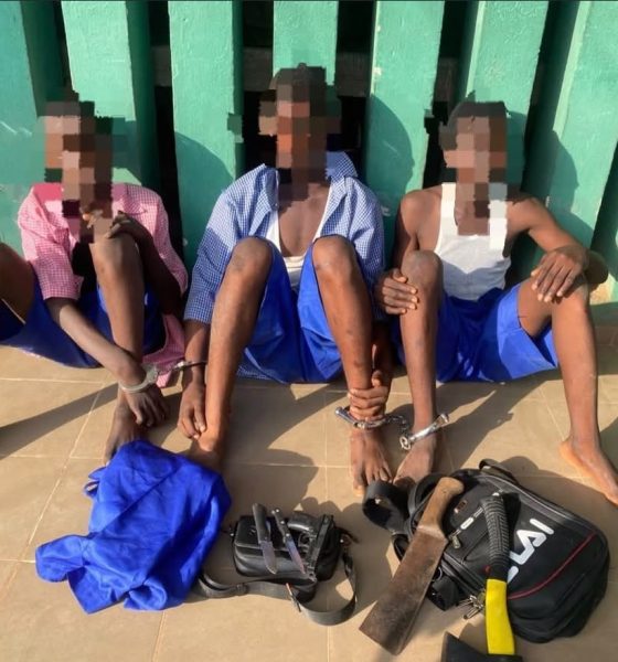 Ogun Police Arrest Three Students Over Suspected Cult Initiation, Recover Weapons